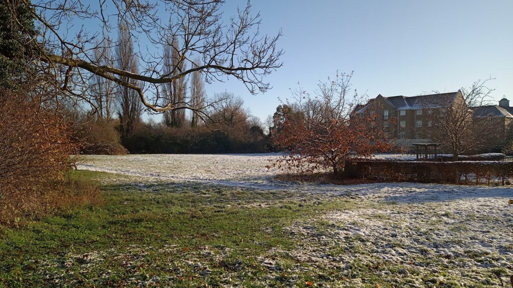 Wintry view, 2022