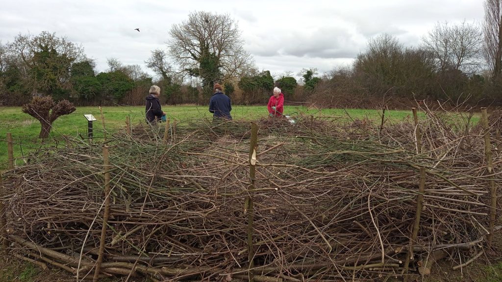 Dead hedge, 2023