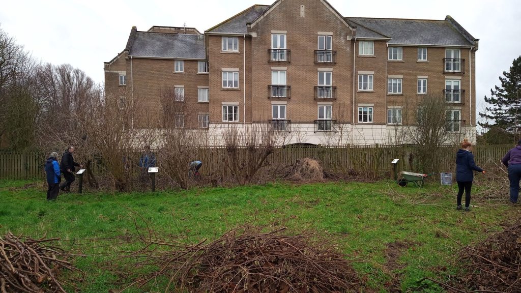 Shrubbery work, 2023